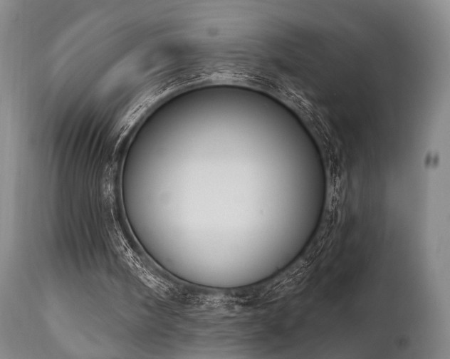 X0000111020098200906191702