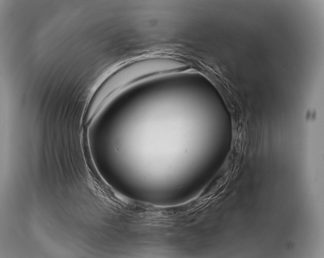 X0000111020100200906191702