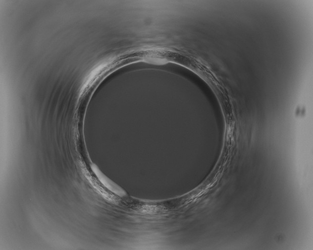 X0000111020101200906191702