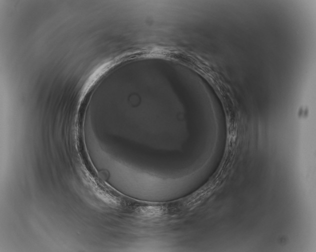 X0000111020102200906191702