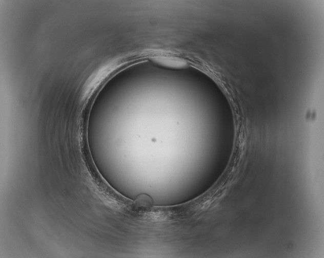 X0000111020103200906191702
