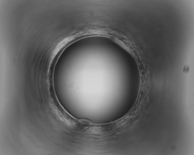 X0000111020104200906191702