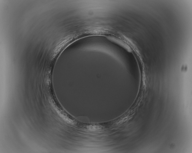 X0000111020105200906191702