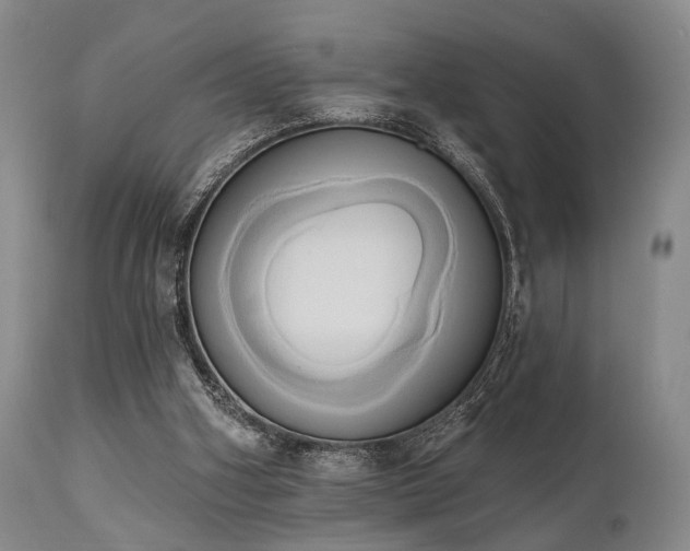X0000111020106200906191702