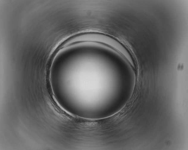 X0000111020108200906191702