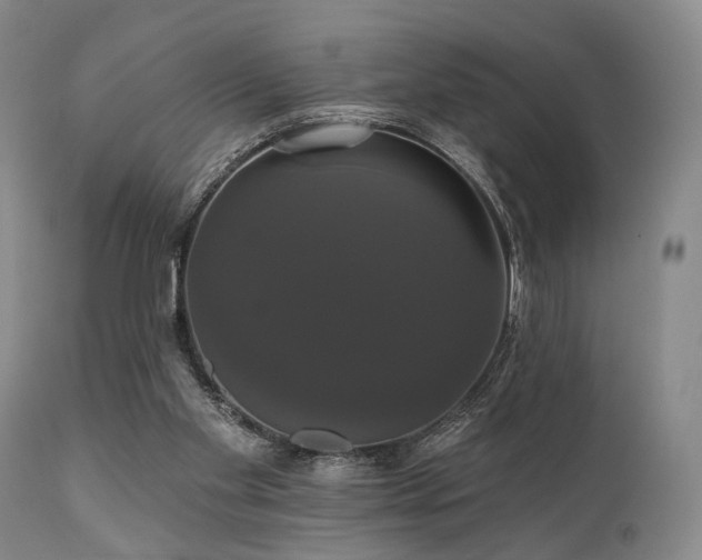 X0000111020109200906191702
