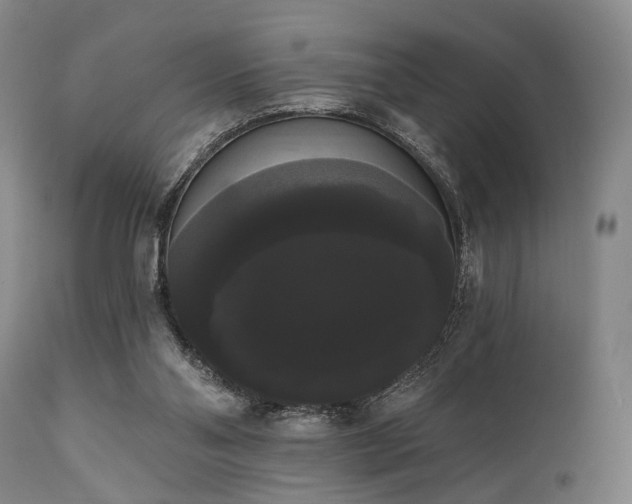 X0000111020110200906191702