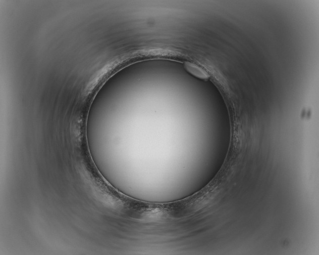 X0000111020111200906191702