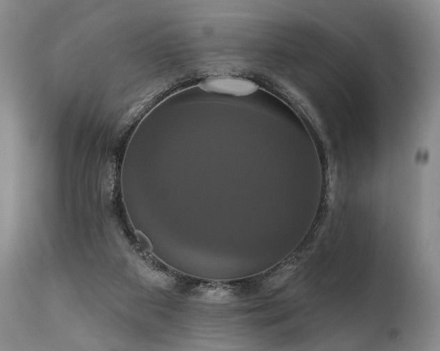 X0000111020113200906191701