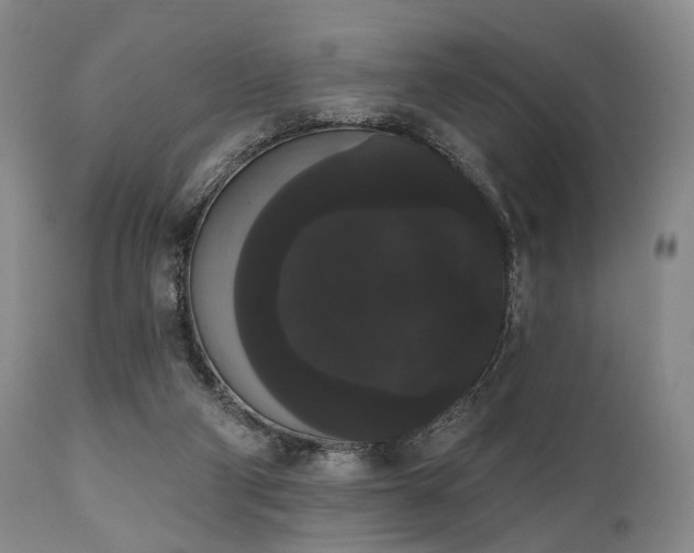 X0000111020114200906191701