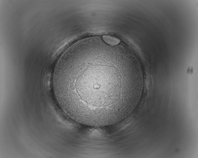 X0000111020115200906191701
