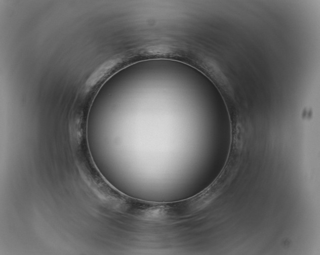 X0000111020116200906191701