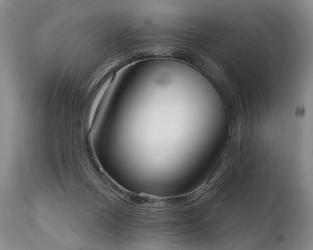 X0000111020120200906191701
