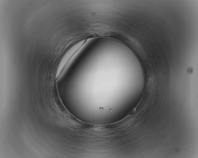 X0000111020121200906191701