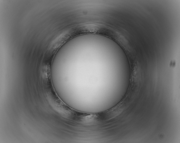 X0000111020122200906191701