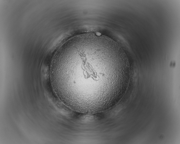 X0000111020123200906191701