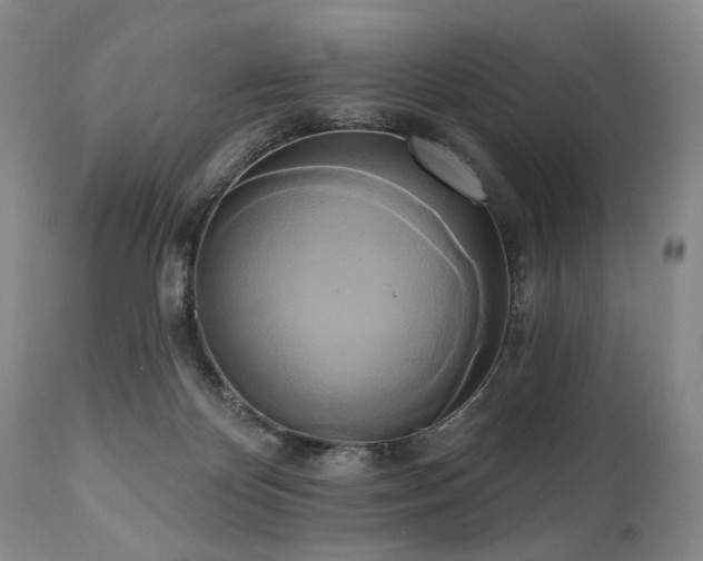X0000111020124200906191701