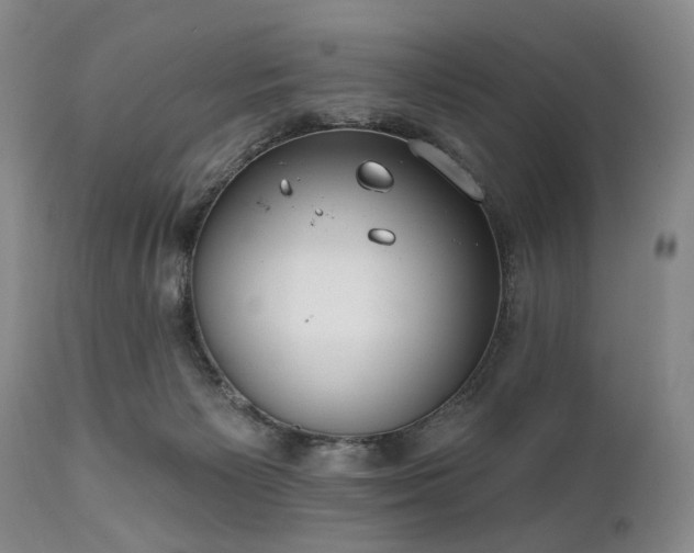 X0000111020125200906191701