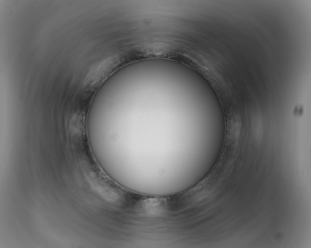X0000111020126200906191701