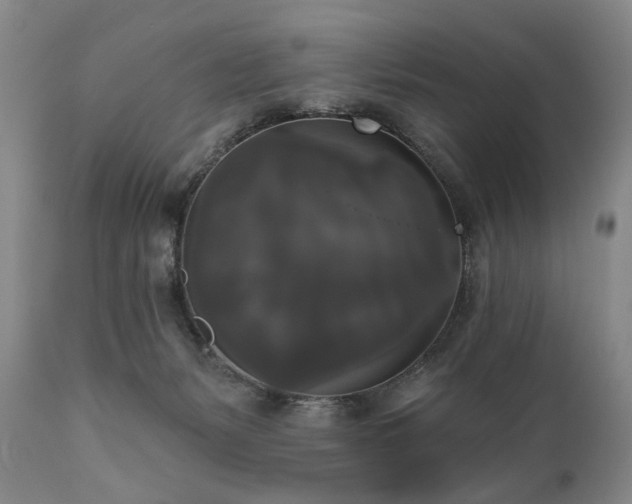 X0000111020127200906191701