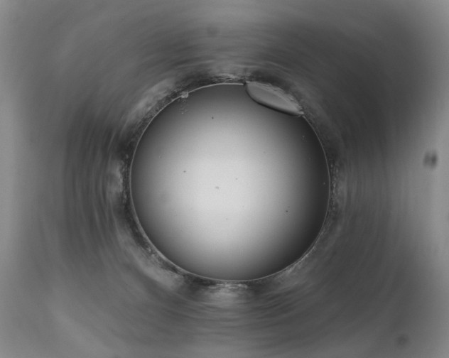 X0000111020128200906191701