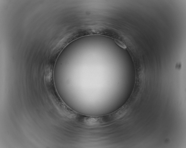 X0000111020129200906191701