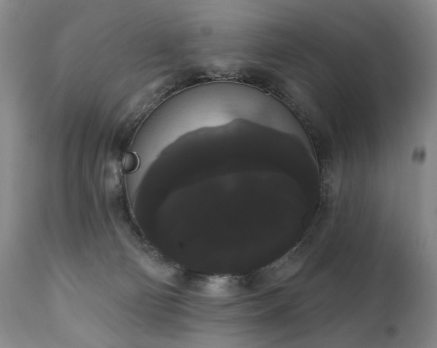 X0000111020130200906191701