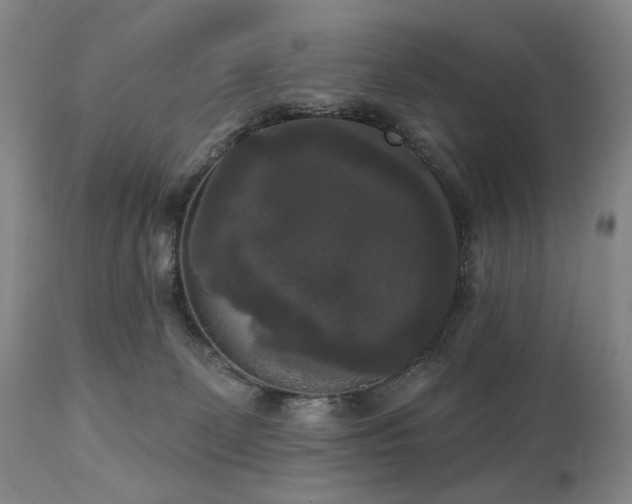 X0000111020131200906191701