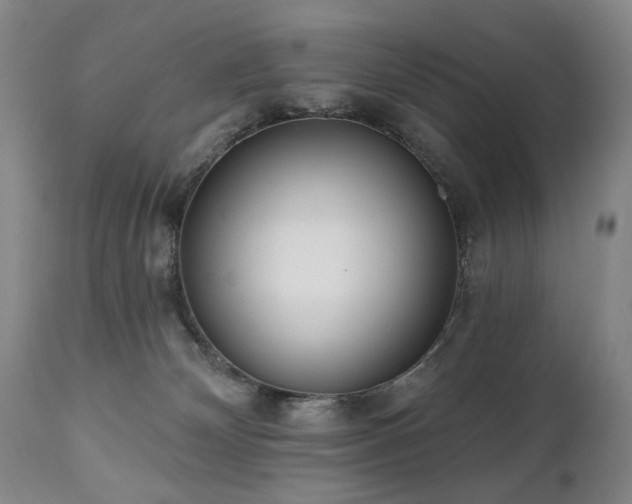 X0000111020132200906191701