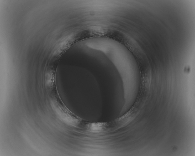 X0000111020134200906191701