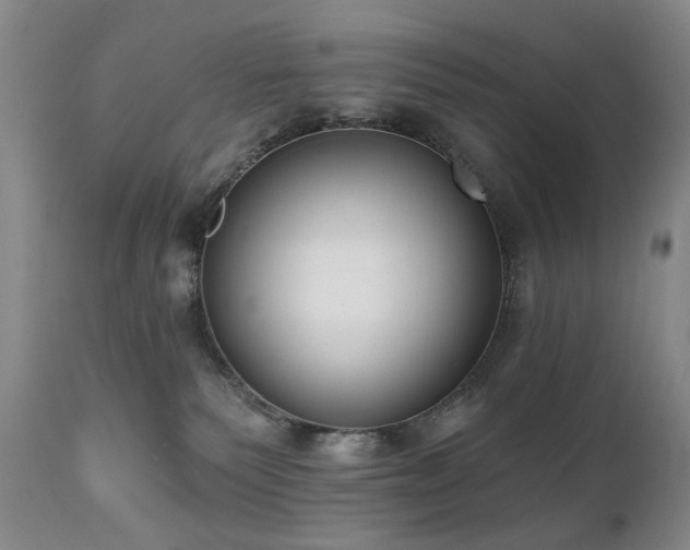 X0000111020135200906191701
