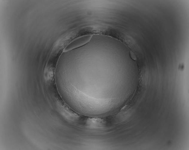 X0000111020137200906191701