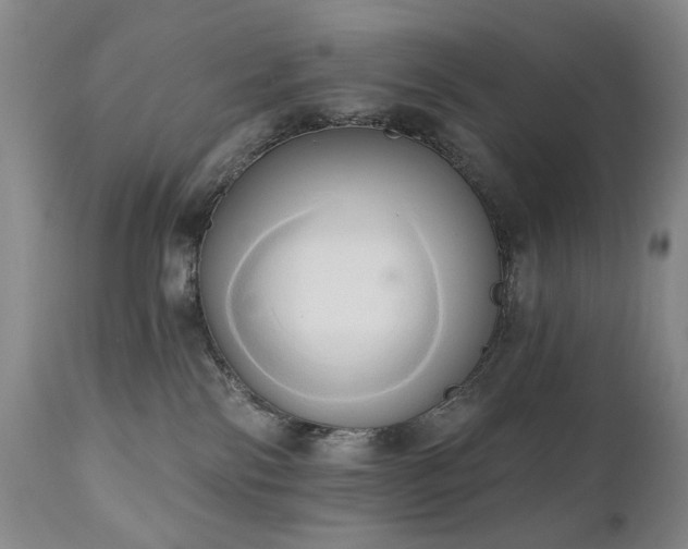 X0000111020138200906191701