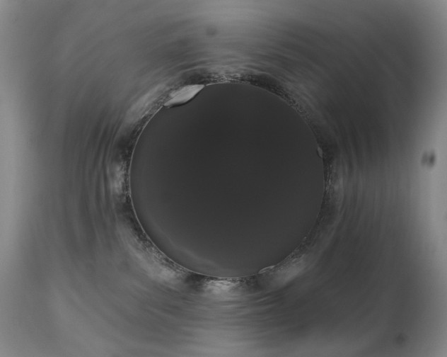 X0000111020139200906191701