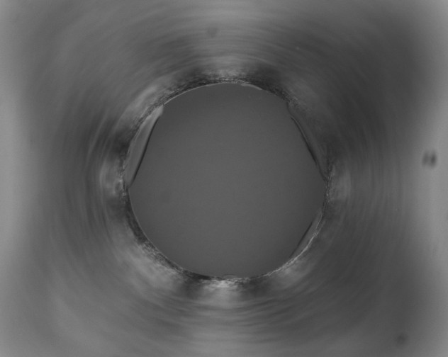 X0000111020140200906191701