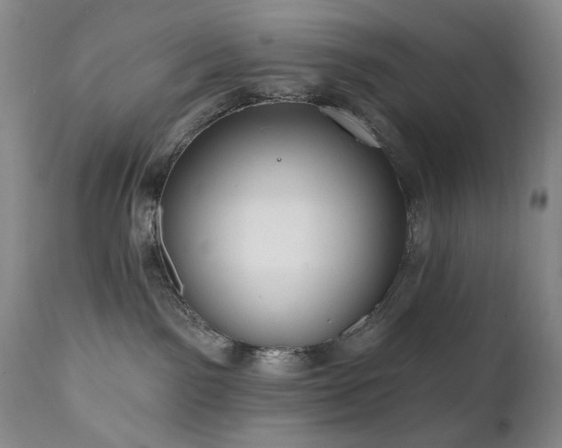 X0000111020141200906191701