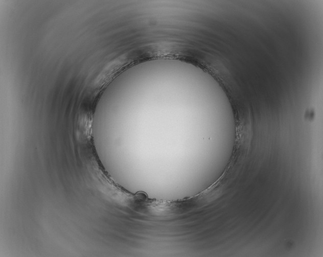 X0000111020142200906191701