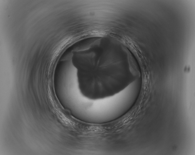 X0000111020145200906191700
