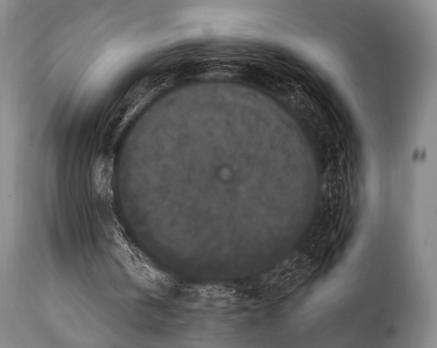 X0000111020146200906191700