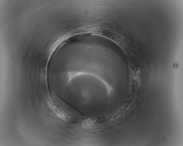 X0000111020148200906191700