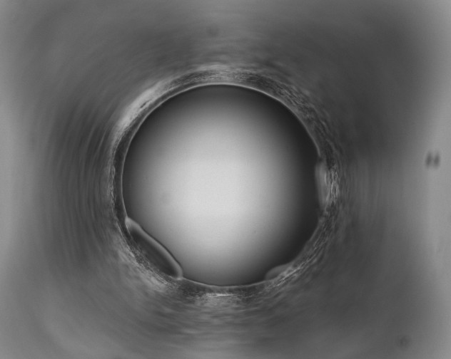 X0000111020150200906191700