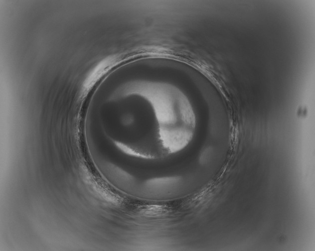 X0000111020151200906191700