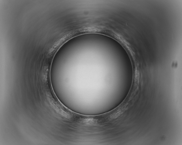X0000111020153200906191700