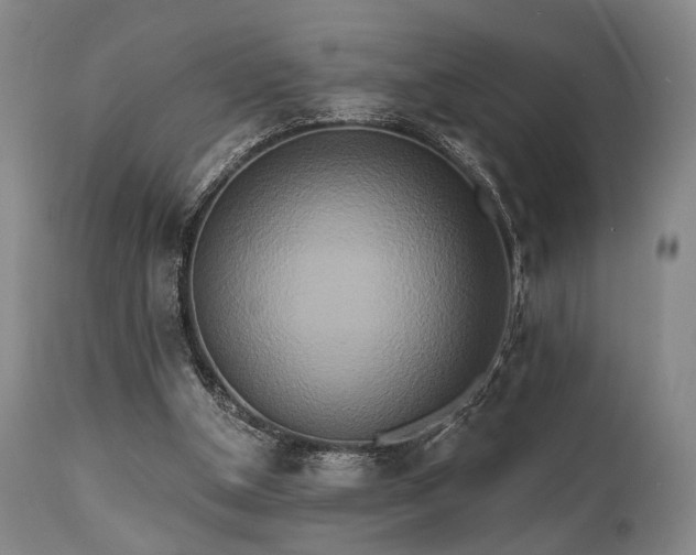 X0000111020154200906191700