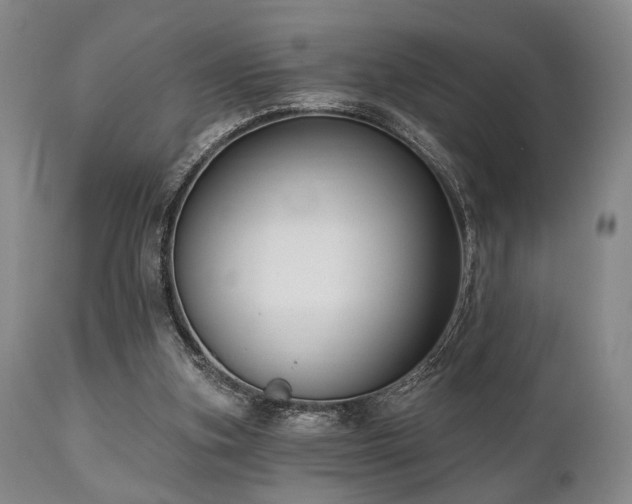 X0000111020155200906191700