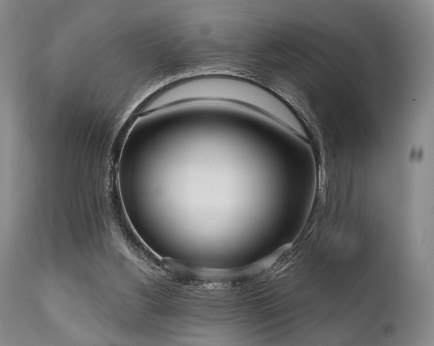 X0000111020156200906191700
