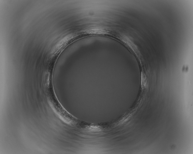 X0000111020157200906191700