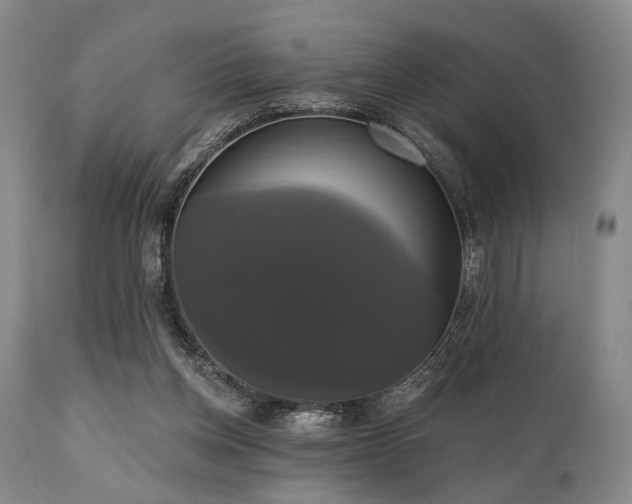 X0000111020158200906191700