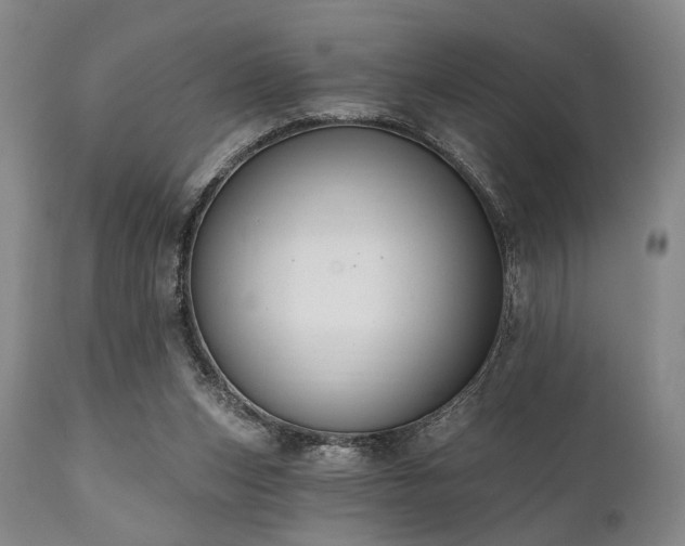 X0000111020159200906191700