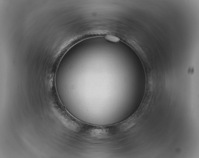 X0000111020160200906191700